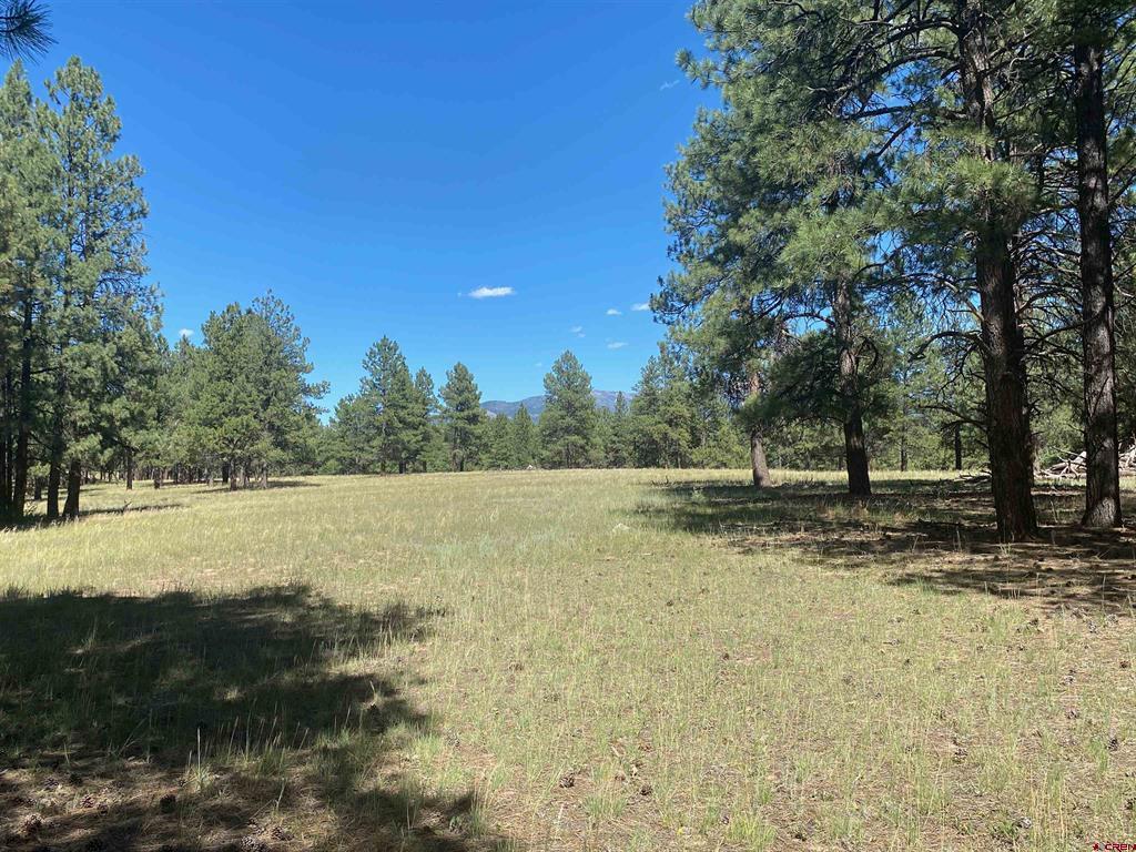 X Rumbaugh Road Pagosa Springs CO 81147