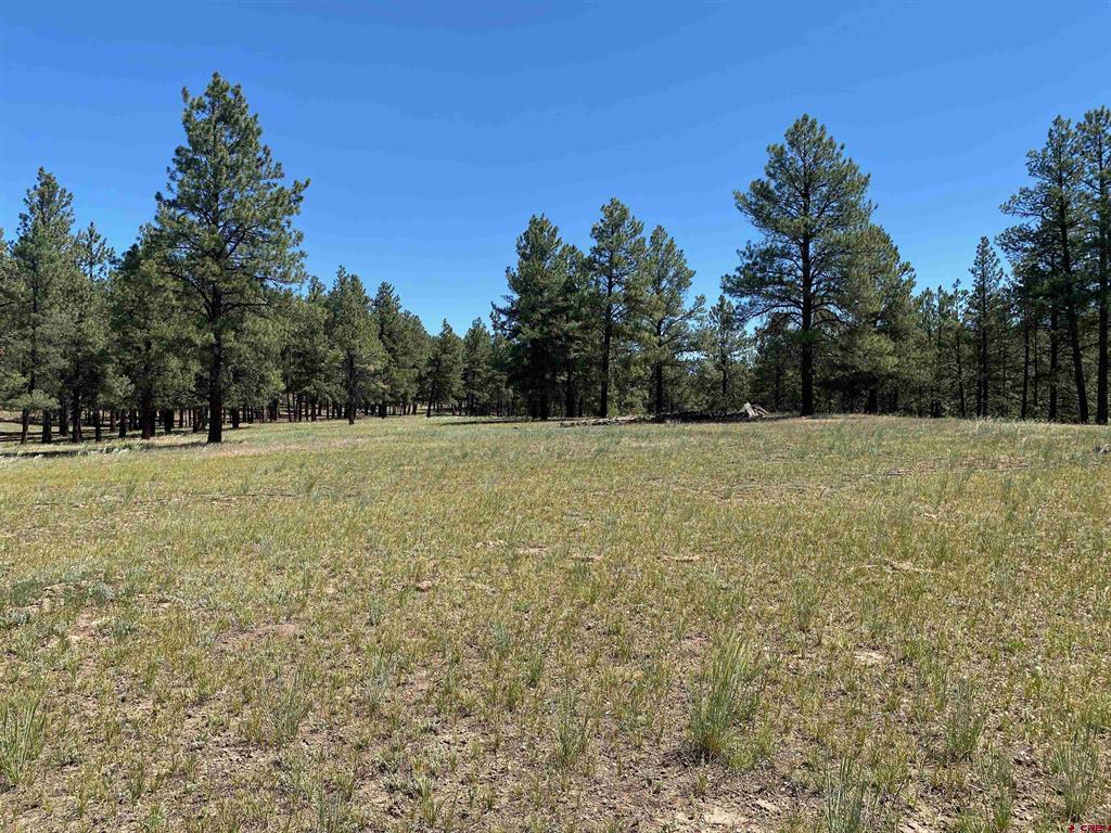 X Rumbaugh Road Pagosa Springs CO 81147