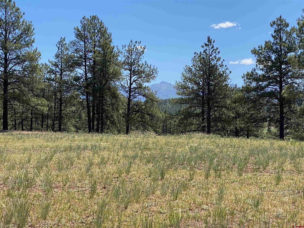 X Rumbaugh Road Pagosa Springs CO 81147