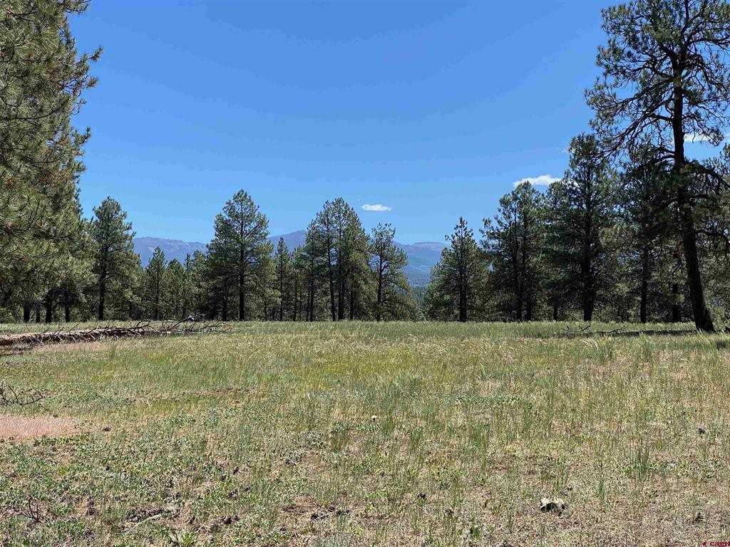 X Rumbaugh Road Pagosa Springs CO 81147