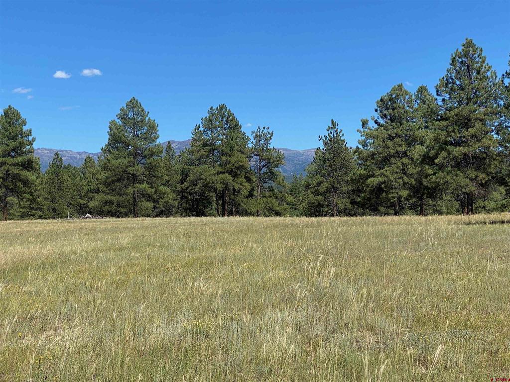 X Rumbaugh Road Pagosa Springs CO 81147