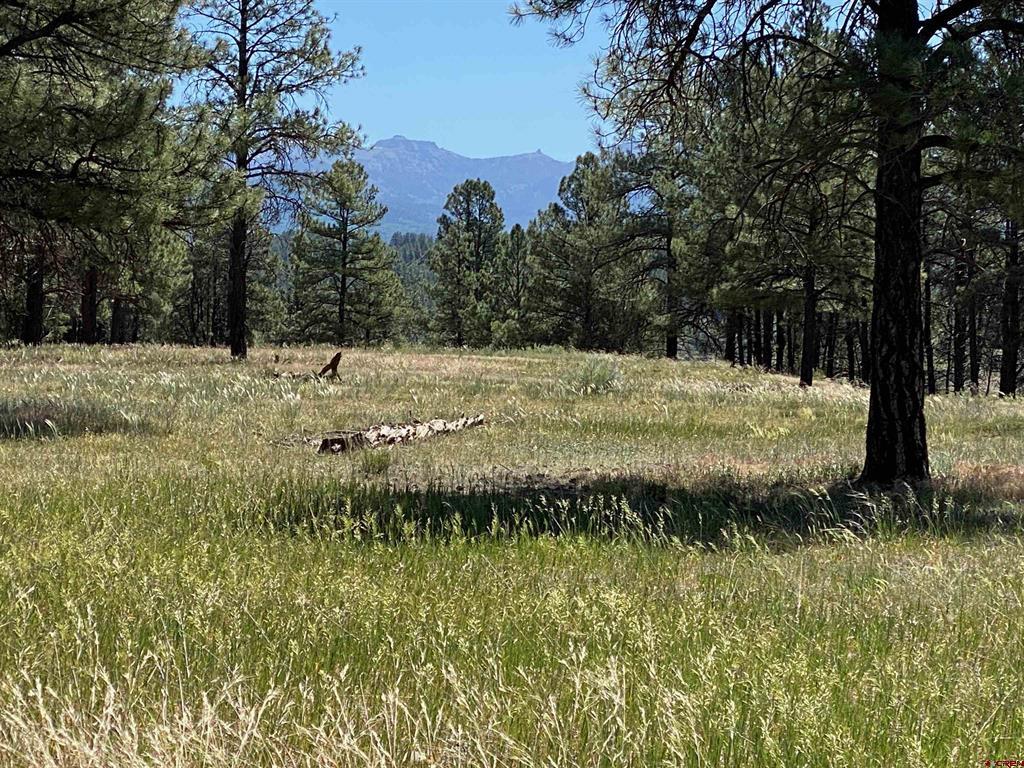 X Rumbaugh Road Pagosa Springs CO 81147