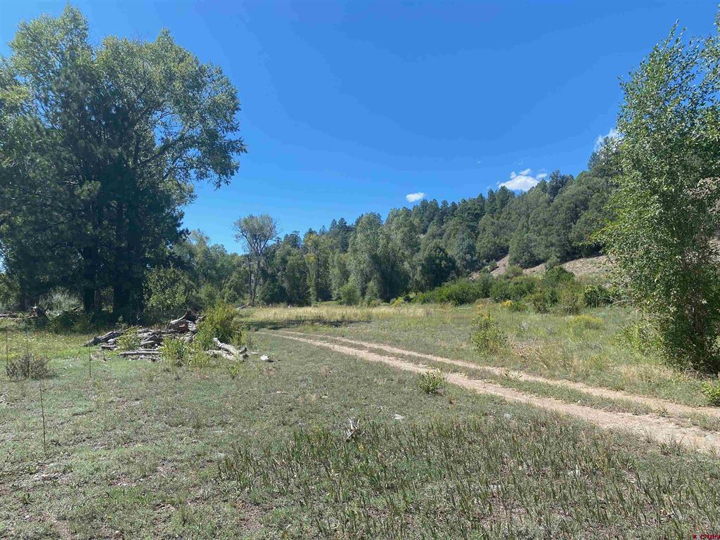 X Rumbaugh Road Pagosa Springs CO 81147
