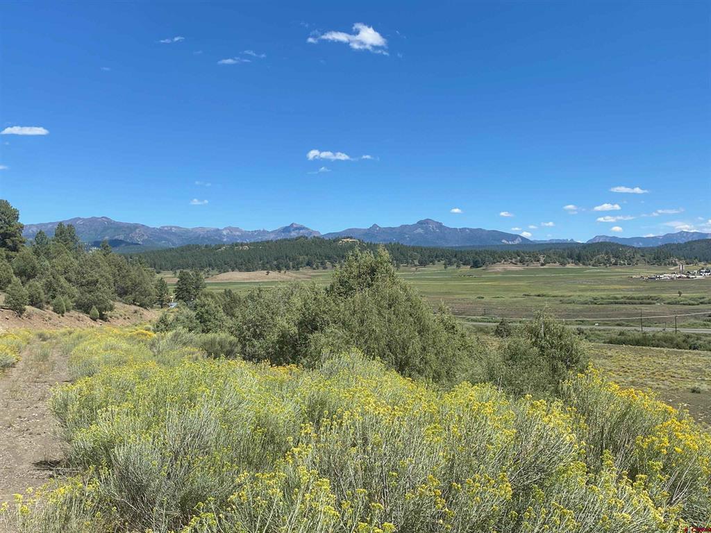 X Rumbaugh Road Pagosa Springs CO 81147