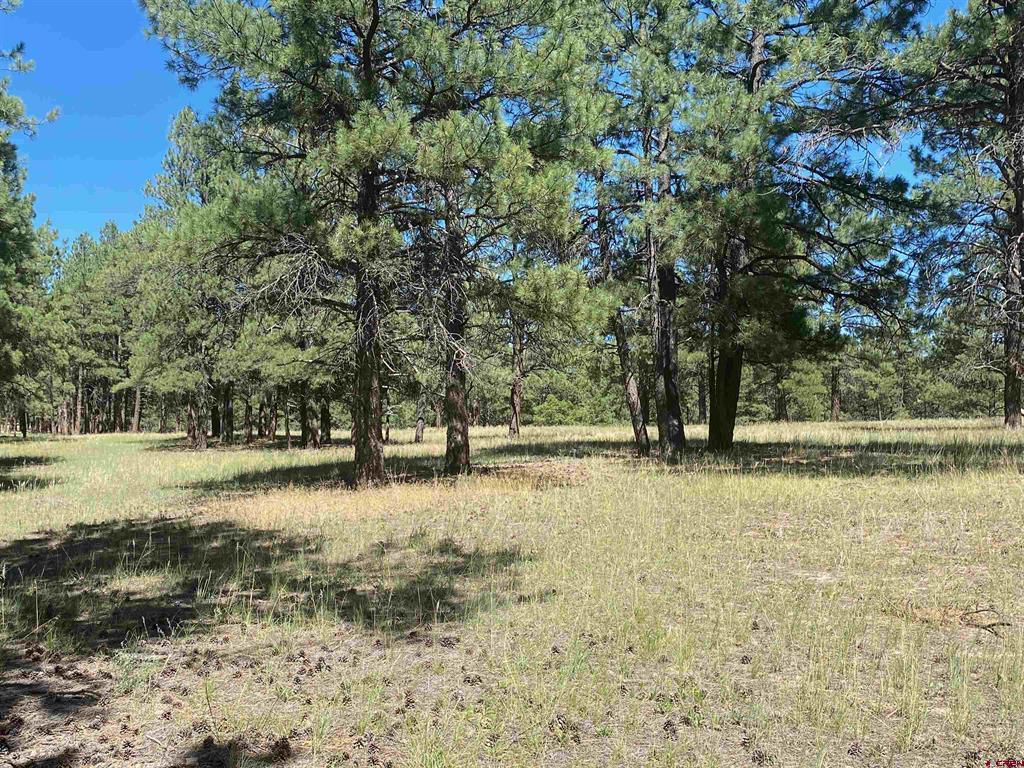X Rumbaugh Road Pagosa Springs CO 81147