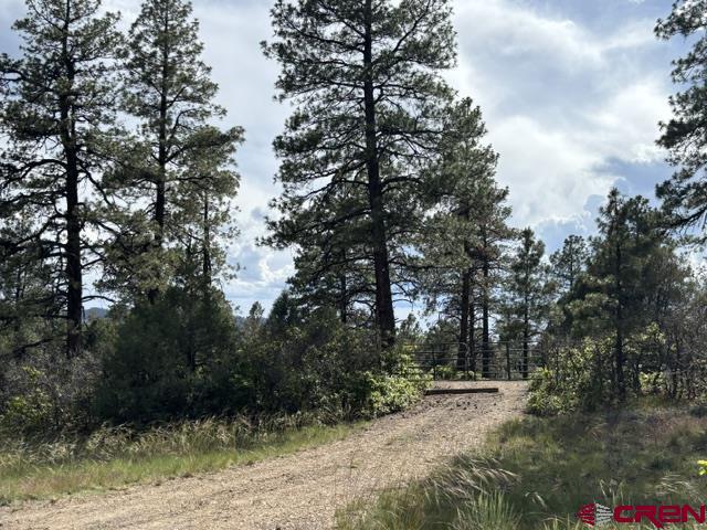 697 & 669 Crooked Road Pagosa Springs CO 81147
