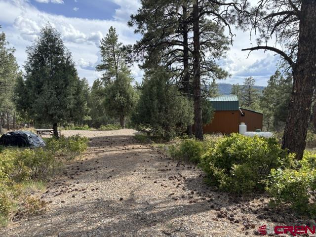 697 & 669 Crooked Road Pagosa Springs CO 81147