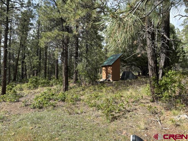 697 & 669 Crooked Road Pagosa Springs CO 81147
