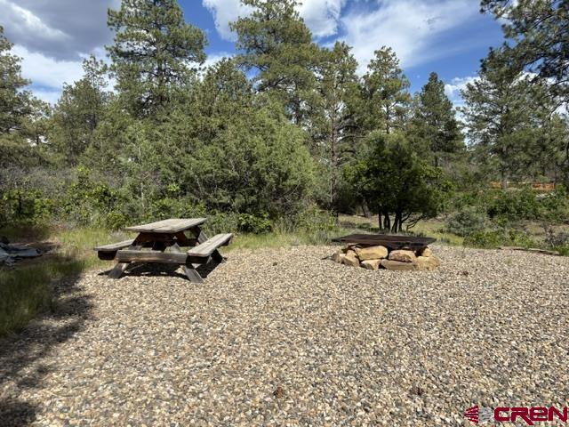 697 & 669 Crooked Road Pagosa Springs CO 81147