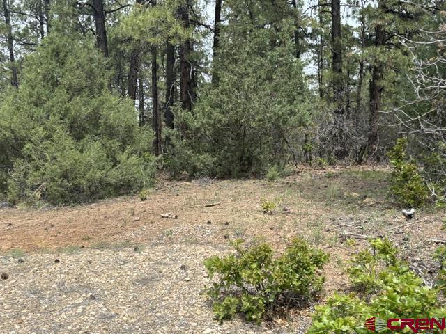 697 & 669 Crooked Road Pagosa Springs CO 81147