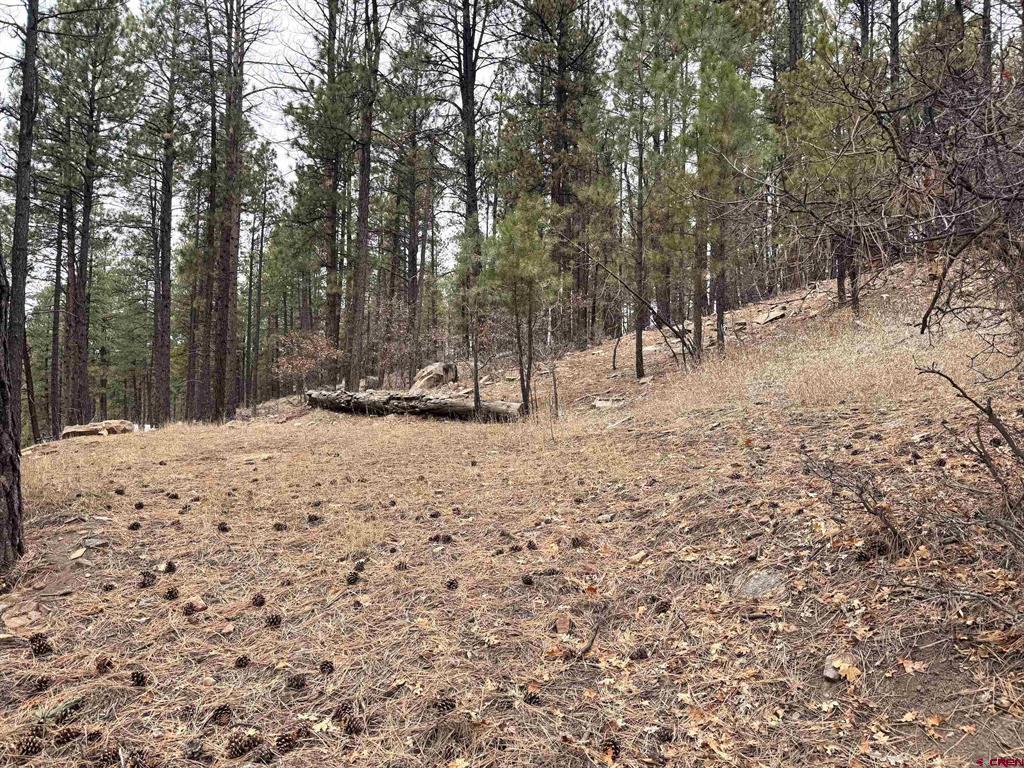 421 Forest Lakes Drive Bayfield CO 81122