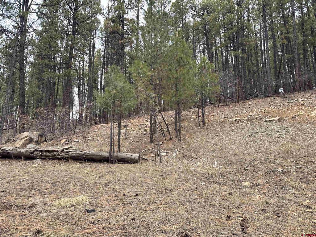421 Forest Lakes Drive Bayfield CO 81122
