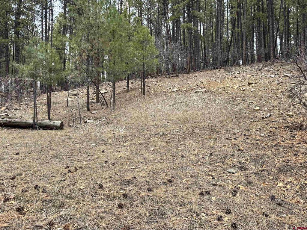 421 Forest Lakes Drive Bayfield CO 81122