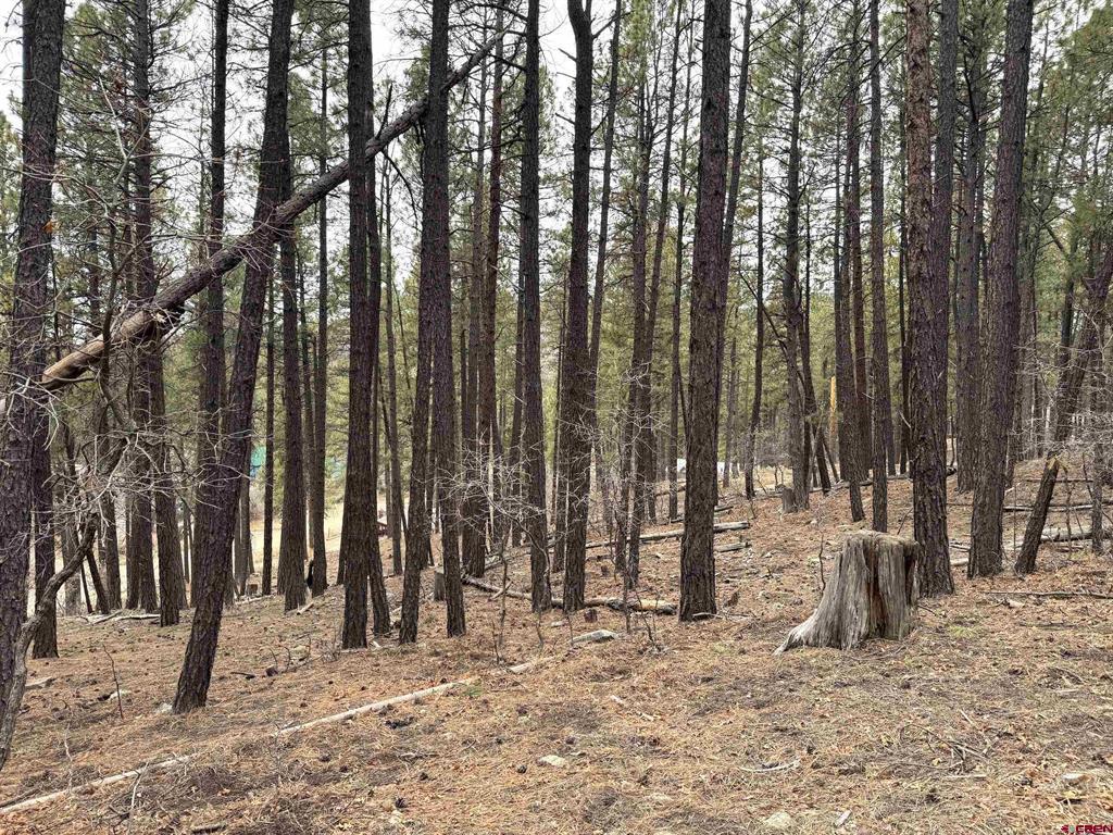 421 Forest Lakes Drive Bayfield CO 81122