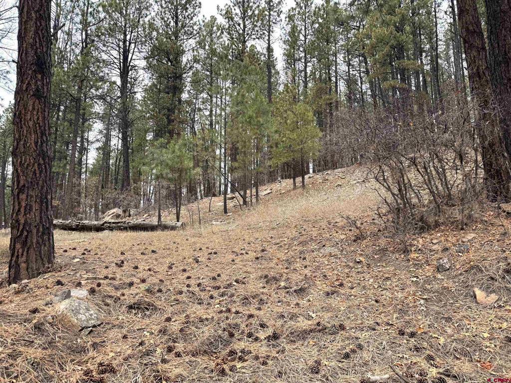 421 Forest Lakes Drive Bayfield CO 81122