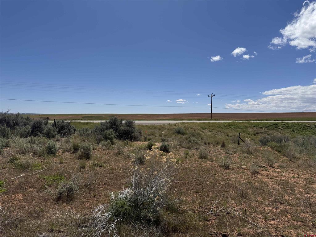 Tbd Road 19 Yellow Jacket CO 81335
