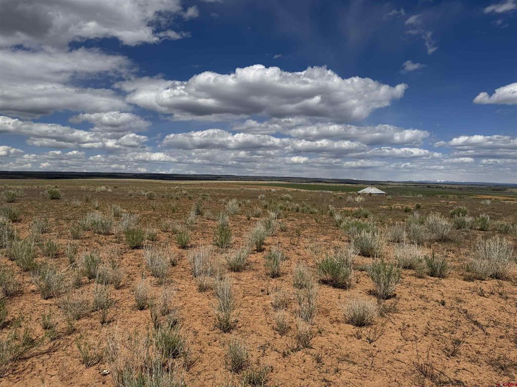 Tbd Road 19 Yellow Jacket CO 81335