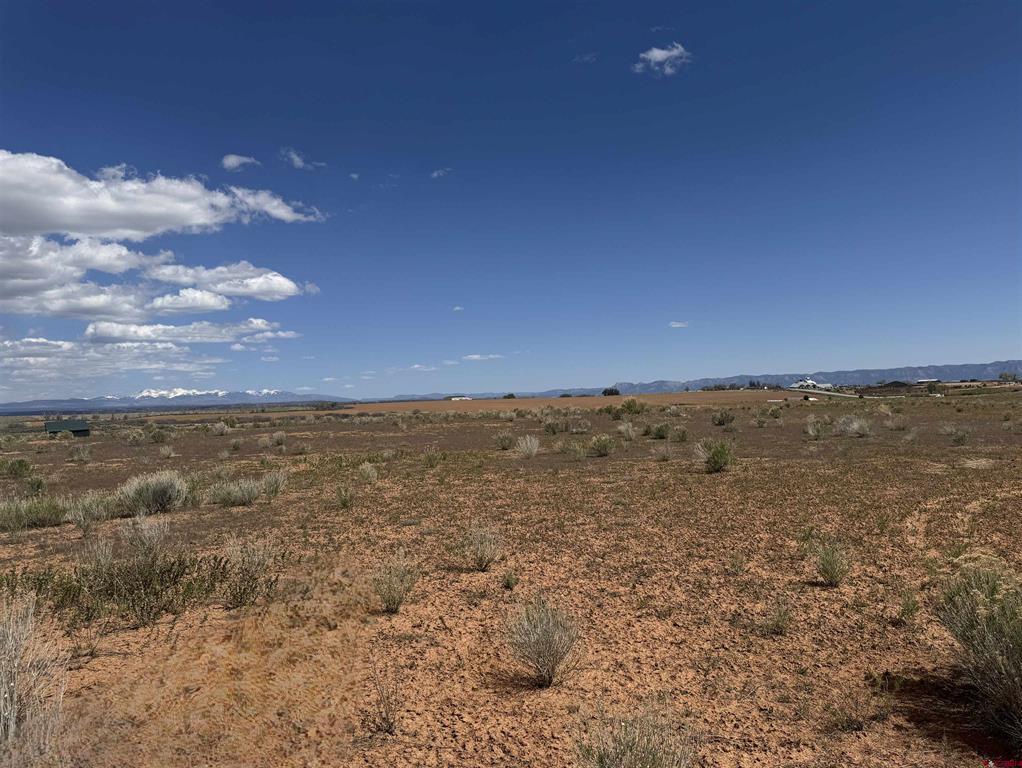 Tbd Road 19 Yellow Jacket CO 81335