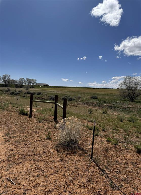 Tbd Road 19 Yellow Jacket CO 81335