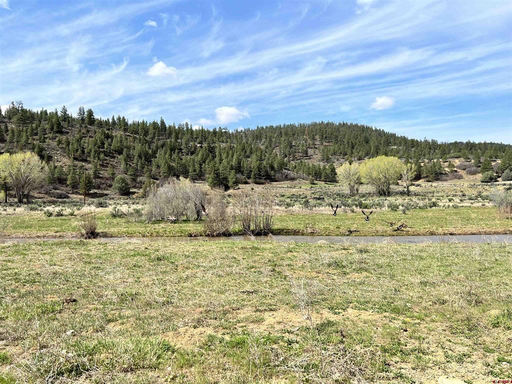 Tbd County Road 551 Pagosa Springs CO 81147