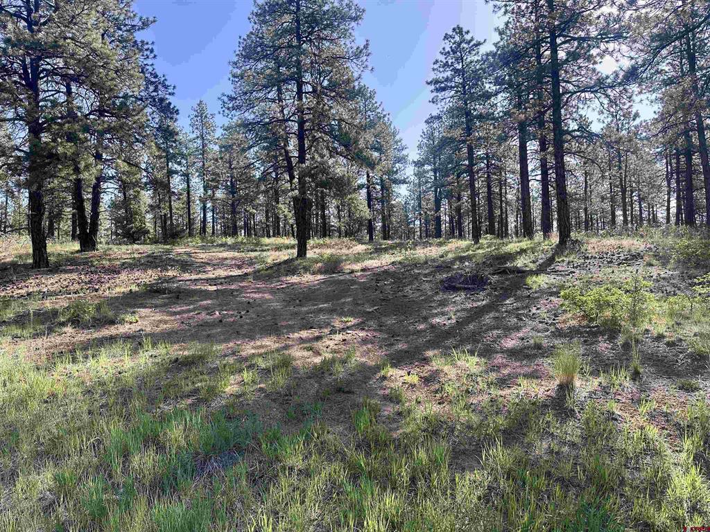 782 Hawks Meadow Drive Bayfield CO 81122
