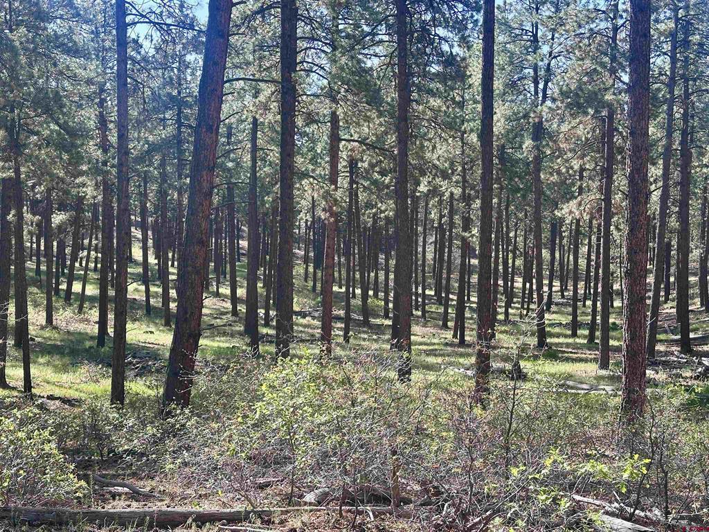 782 Hawks Meadow Drive Bayfield CO 81122