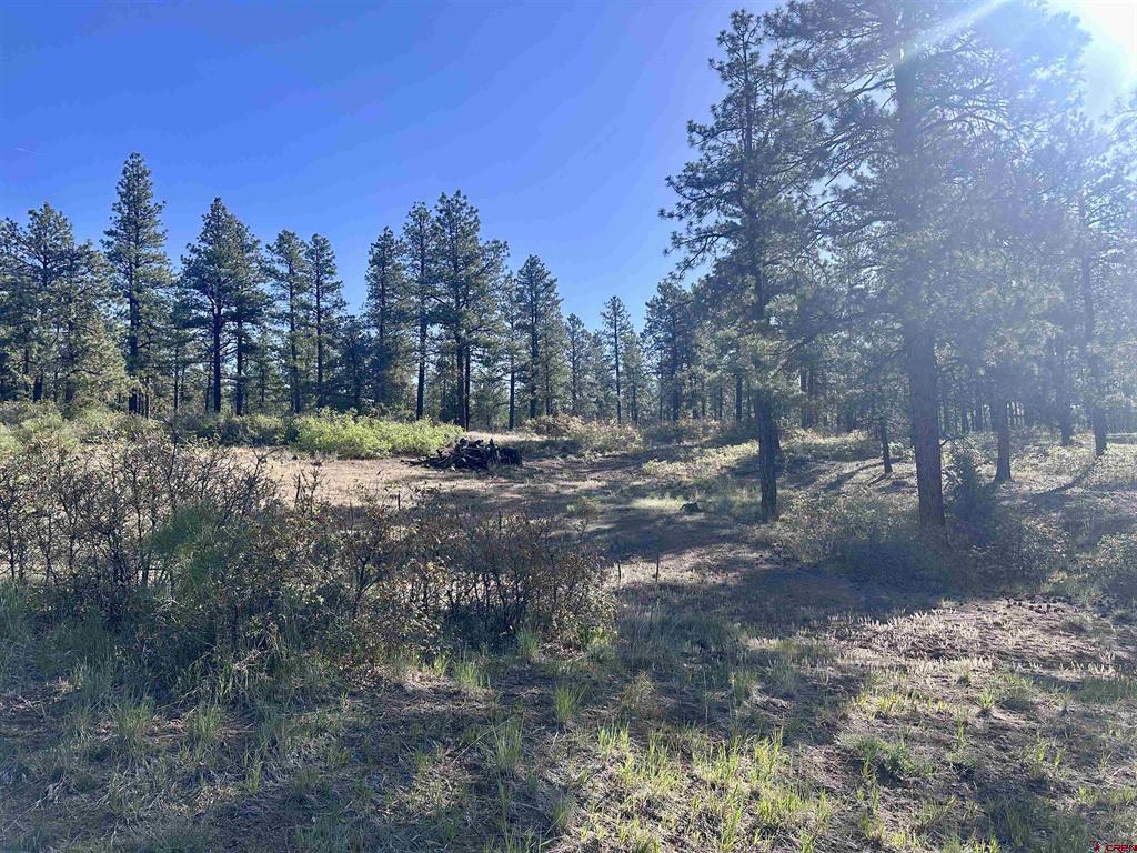 782 Hawks Meadow Drive Bayfield CO 81122