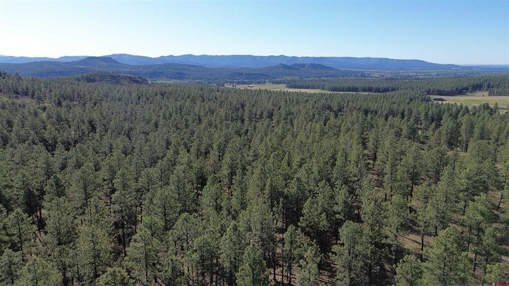 782 Hawks Meadow Drive Bayfield CO 81122