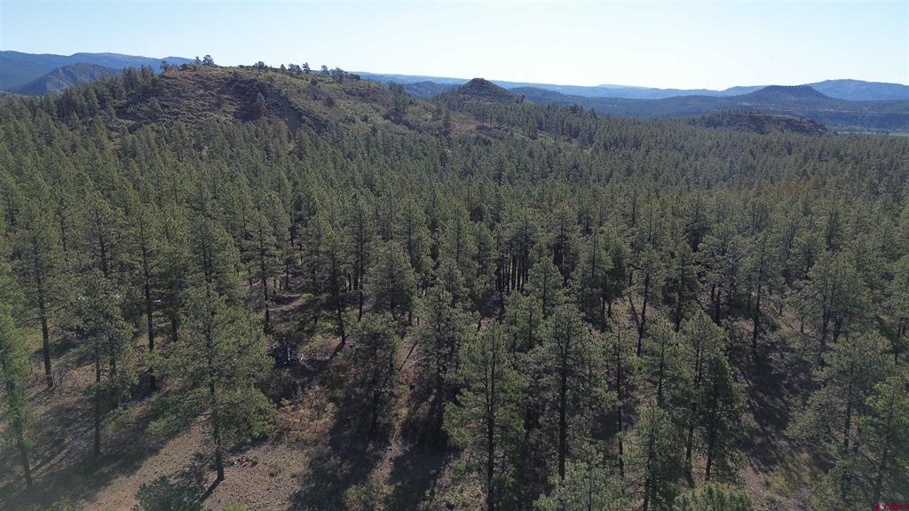782 Hawks Meadow Drive Bayfield CO 81122