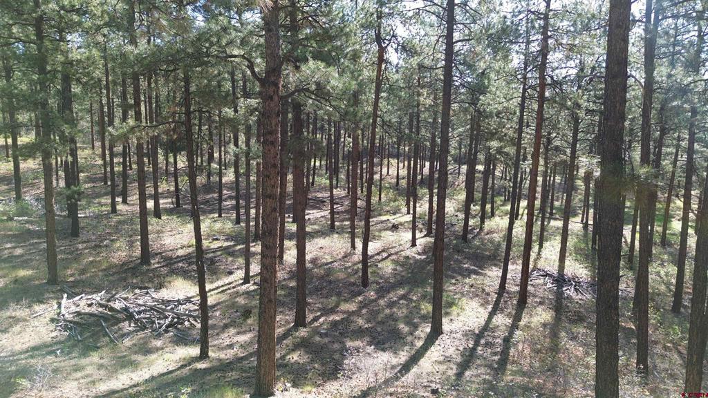 782 Hawks Meadow Drive Bayfield CO 81122