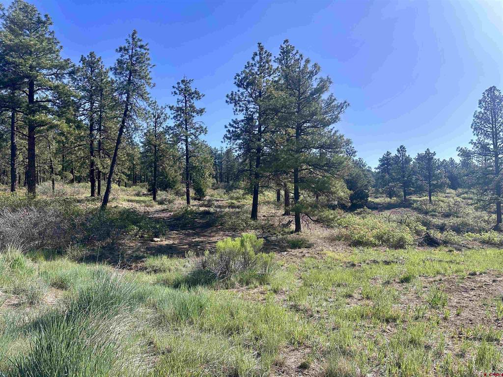 782 Hawks Meadow Drive Bayfield CO 81122