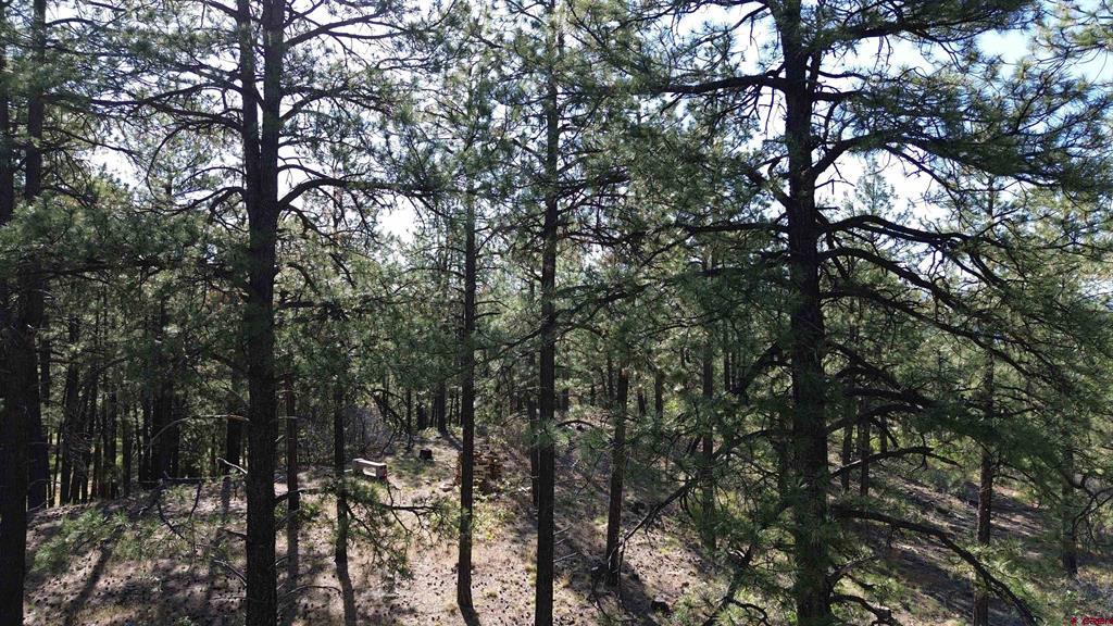 782 Hawks Meadow Drive Bayfield CO 81122