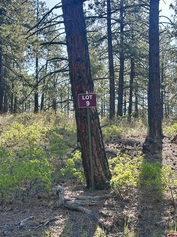 782 Hawks Meadow Drive Bayfield CO 81122