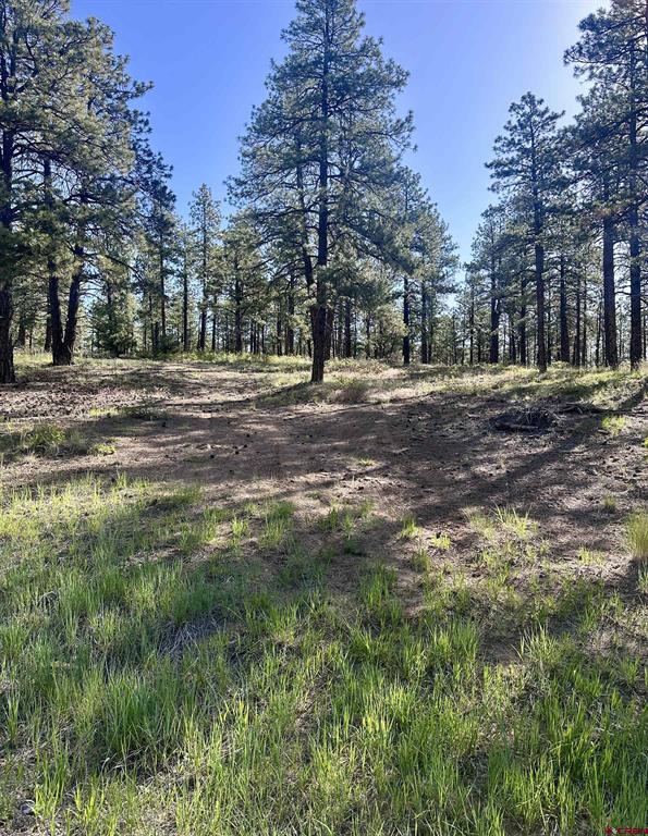 782 Hawks Meadow Drive Bayfield CO 81122