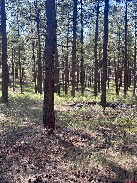 782 Hawks Meadow Drive Bayfield CO 81122