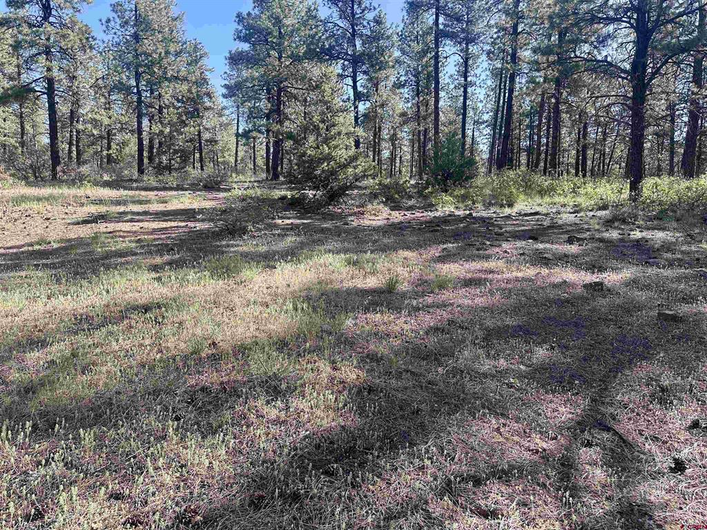 782 Hawks Meadow Drive Bayfield CO 81122