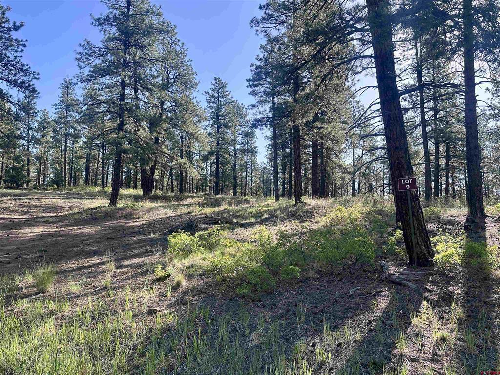782 Hawks Meadow Drive Bayfield CO 81122