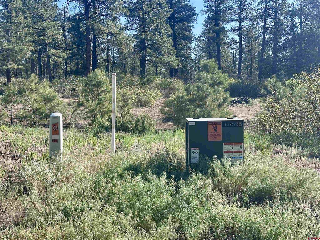 782 Hawks Meadow Drive Bayfield CO 81122