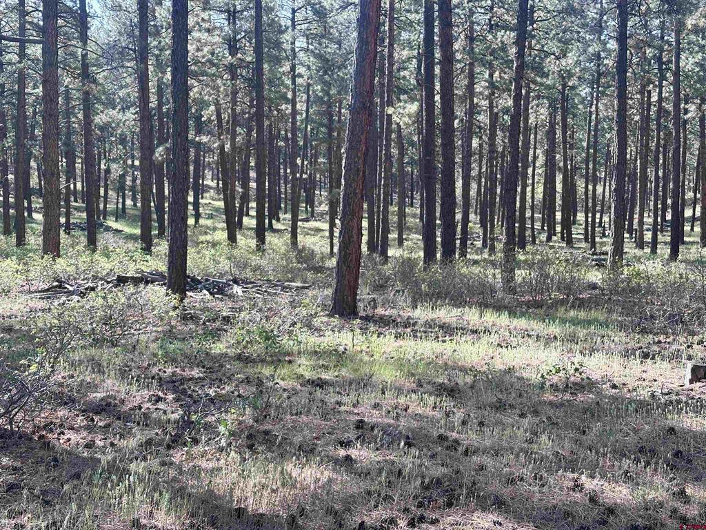 782 Hawks Meadow Drive Bayfield CO 81122