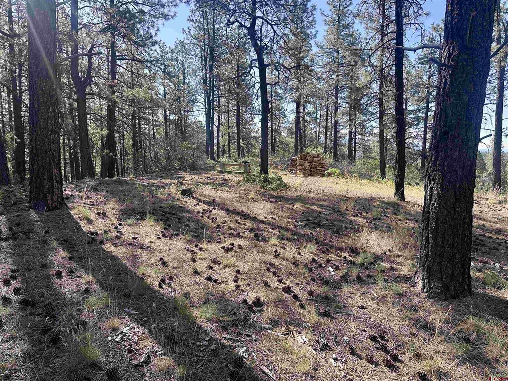 782 Hawks Meadow Drive Bayfield CO 81122