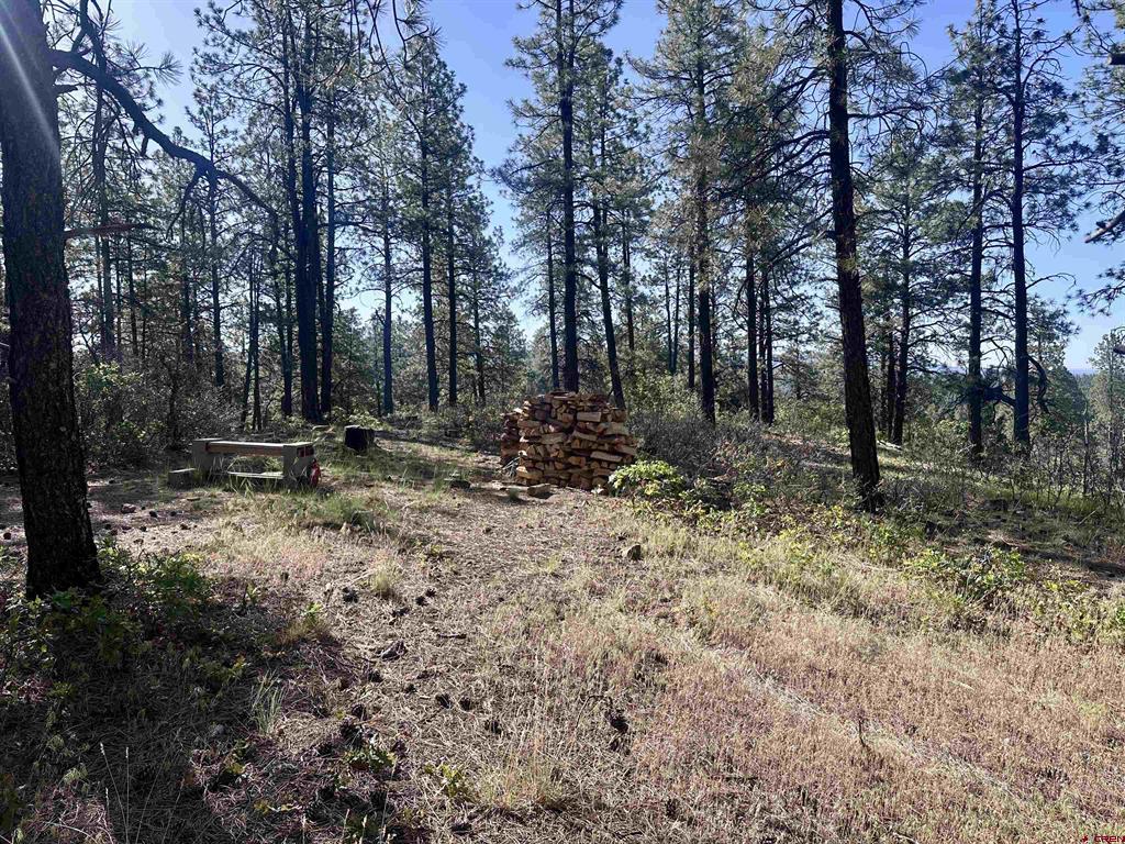 782 Hawks Meadow Drive Bayfield CO 81122