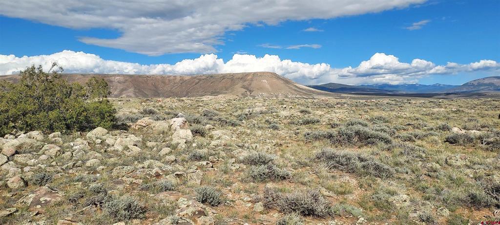Tbd State Highway 114 Gunnison CO 81230