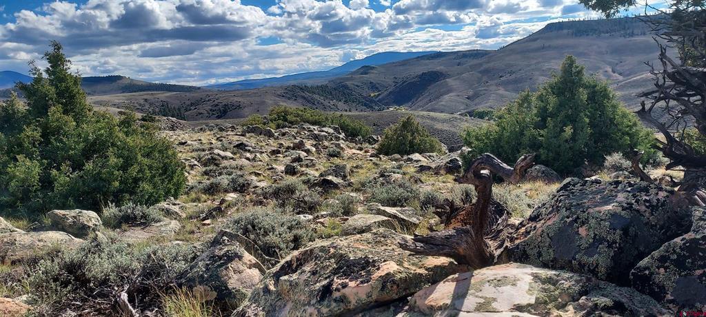 Tbd State Highway 114 Gunnison CO 81230