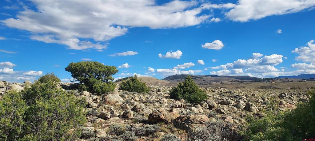 Tbd State Highway 114 Gunnison CO 81230