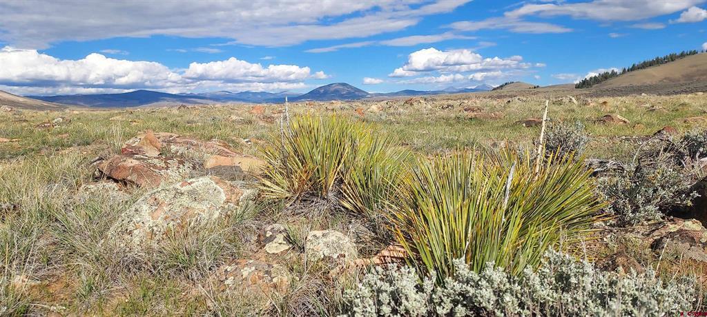 Tbd State Highway 114 Gunnison CO 81230