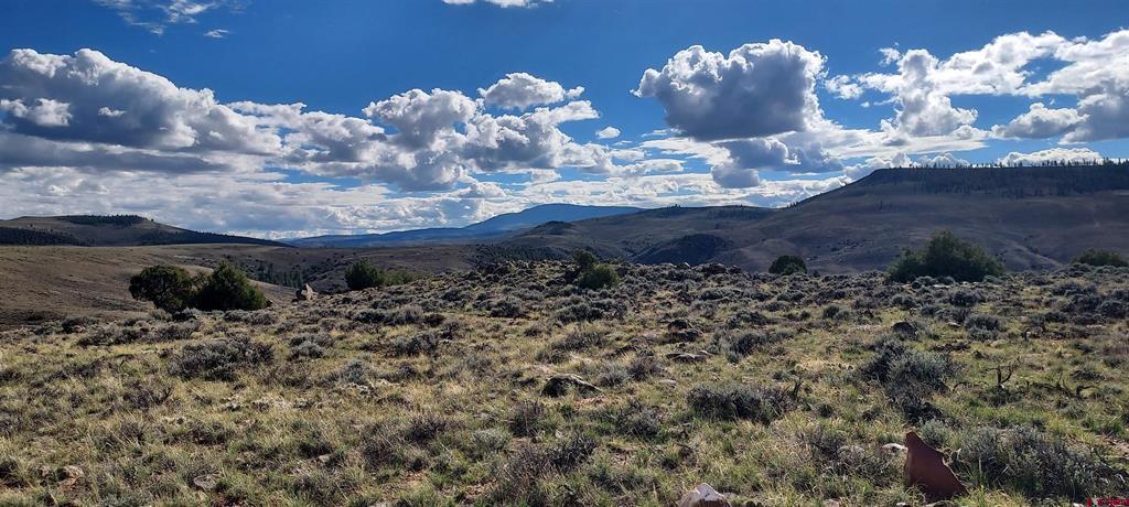 Tbd State Highway 114 Gunnison CO 81230