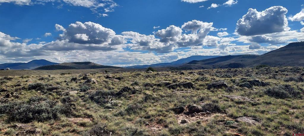 Tbd State Highway 114 Gunnison CO 81230