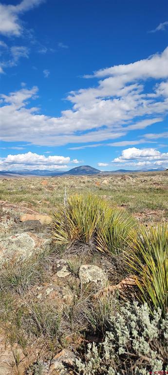 Tbd State Highway 114 Gunnison CO 81230
