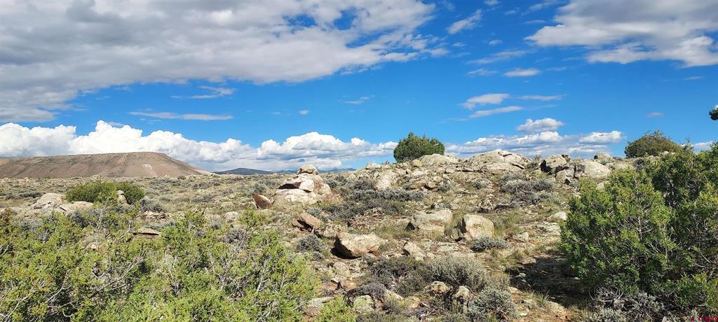 Tbd State Highway 114 Gunnison CO 81230