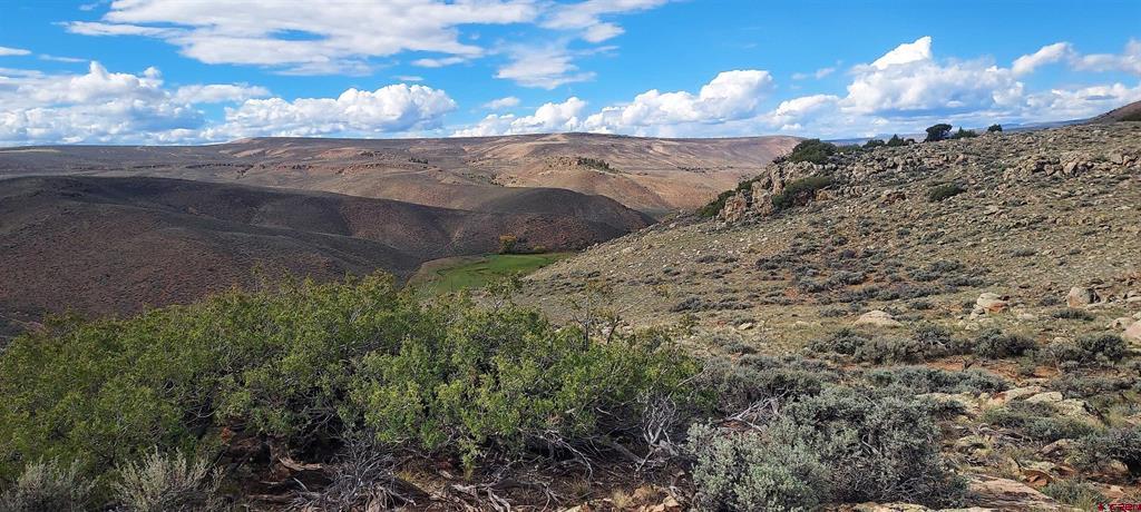 Tbd State Highway 114 Gunnison CO 81230